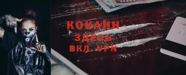 амф Корсаков