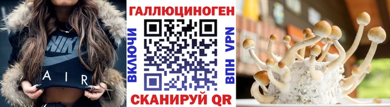 Галлюциногенные грибы Psilocybe Купить закладки Мелеуз